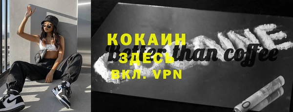 стафф Новозыбков