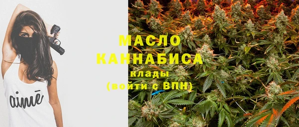 стафф Новозыбков