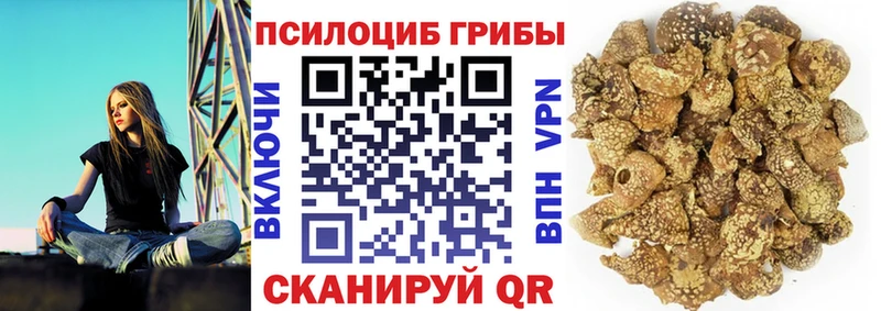 Псилоцибиновые грибы Psilocybe  Альметьевск 